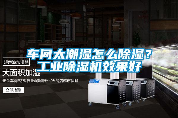 车间太潮湿怎么除湿？星空娱乐彩票是什么网站效果好