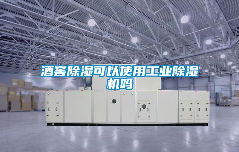 酒窖除湿可以使用星空娱乐彩票是什么网站吗