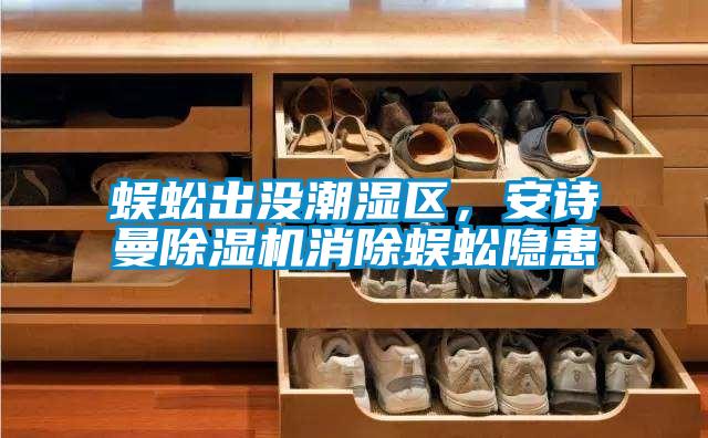 蜈蚣出没潮湿区，xk星空体育官网除湿机消除蜈蚣隐患