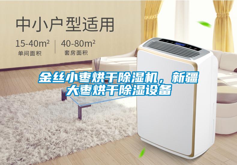 金丝小枣烘干除湿机，新疆大枣烘干除湿设备