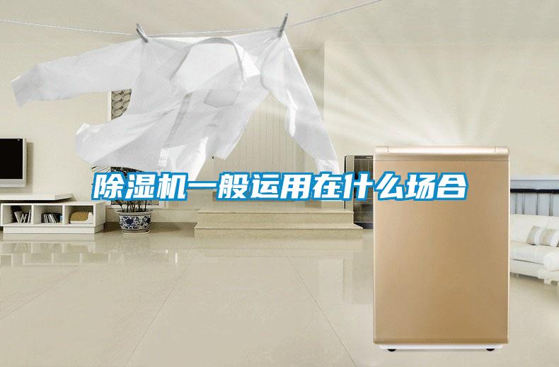 除湿机一般运用在什么场合