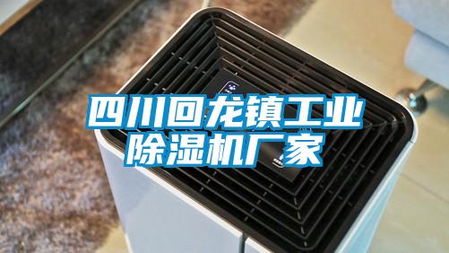 四川回龙镇星空娱乐彩票是什么网站厂家