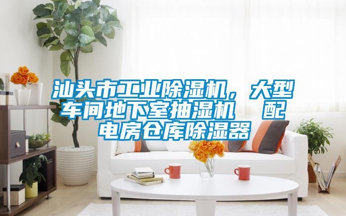 汕头市星空娱乐彩票是什么网站，大型车间地下室抽湿机  配电房仓库除湿器