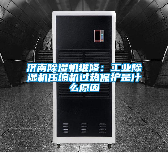济南除湿机维修：星空娱乐彩票是什么网站压缩机过热保护是什么原因