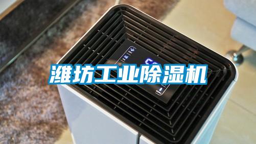 潍坊星空娱乐彩票是什么网站