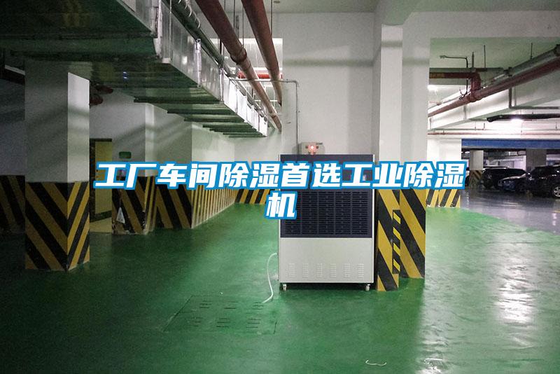 工厂车间除湿首选星空娱乐彩票是什么网站