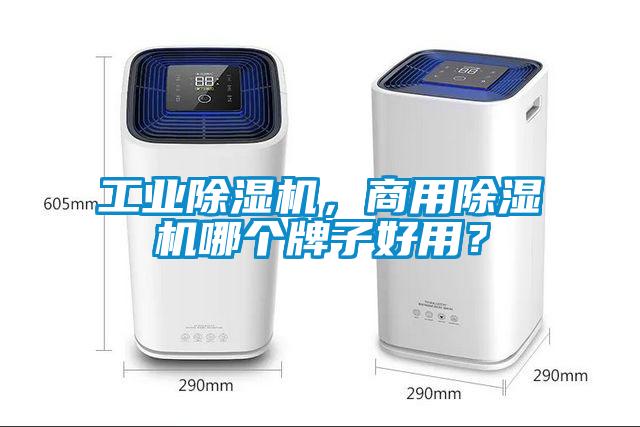 星空娱乐彩票是什么网站，星空app官网下载手机版哪个牌子好用？