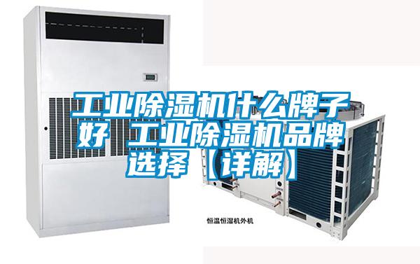 星空娱乐彩票是什么网站什么牌子好 星空娱乐彩票是什么网站品牌选择【详解】