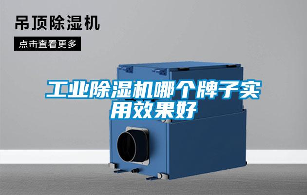 星空娱乐彩票是什么网站哪个牌子实用效果好