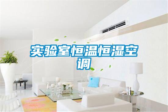 实验室恒温恒湿空调