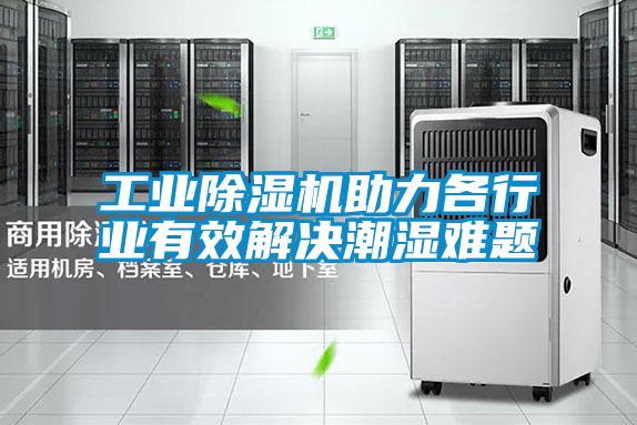 星空娱乐彩票是什么网站助力各行业有效解决潮湿难题