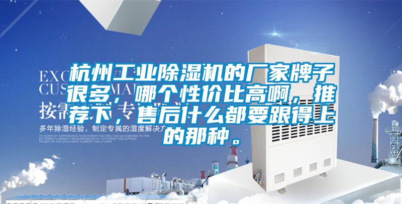 杭州星空娱乐彩票是什么网站的厂家牌子很多，哪个性价比高啊，推荐下，售后什么都要跟得上的那种。