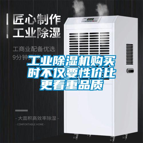 星空娱乐彩票是什么网站购买时不仅要性价比更看重品质