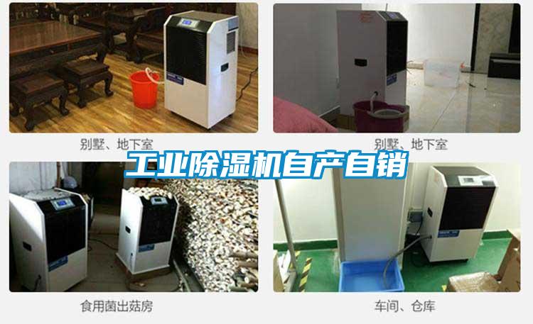星空娱乐彩票是什么网站自产自销