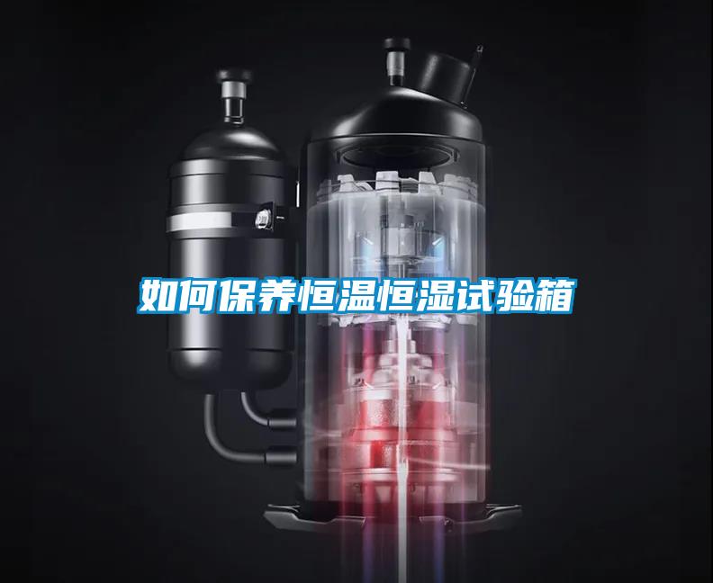 如何保养恒温恒湿试验箱