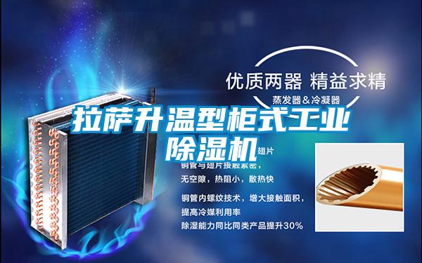 拉萨升温型柜式星空娱乐彩票是什么网站