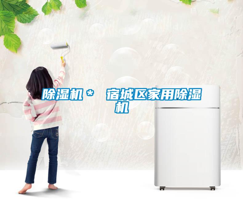除湿机＊ 宿城区星空体育app官网