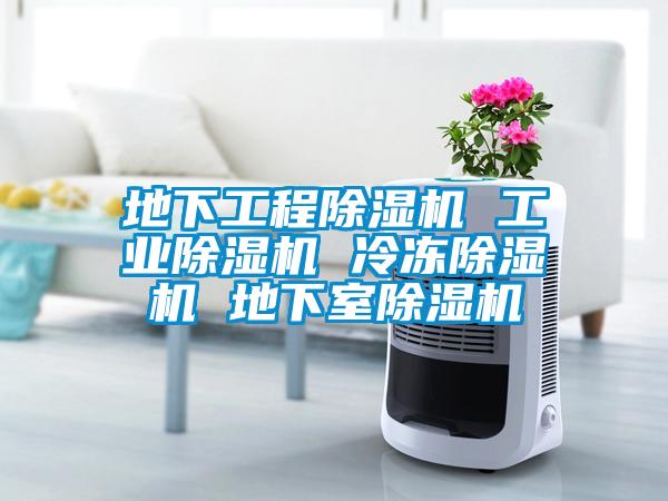 地下工程除湿机 星空娱乐彩票是什么网站 冷冻除湿机 地下室除湿机