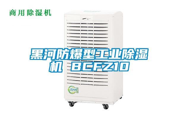 黑河防爆型星空娱乐彩票是什么网站 BCFZ10