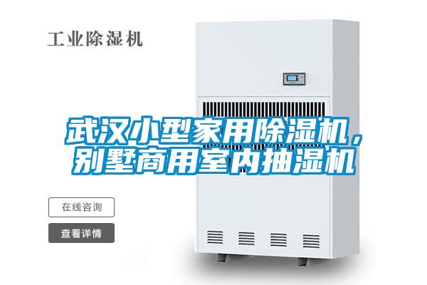 武汉小型星空体育app官网，别墅商用室内抽湿机
