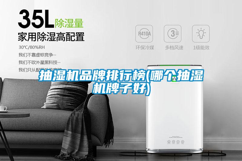 抽湿机品牌排行榜(哪个抽湿机牌子好)