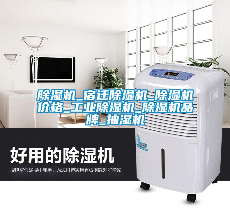 除湿机_宿迁除湿机_除湿机价格_星空娱乐彩票是什么网站_除湿机品牌_抽湿机