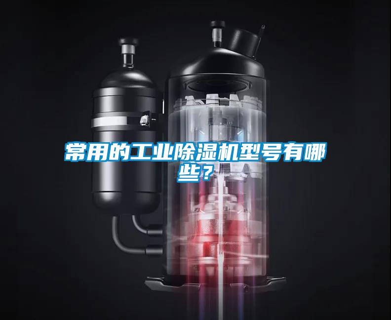 常用的星空娱乐彩票是什么网站型号有哪些？