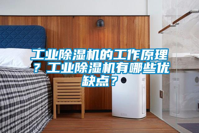 星空娱乐彩票是什么网站的工作原理？星空娱乐彩票是什么网站有哪些优缺点？