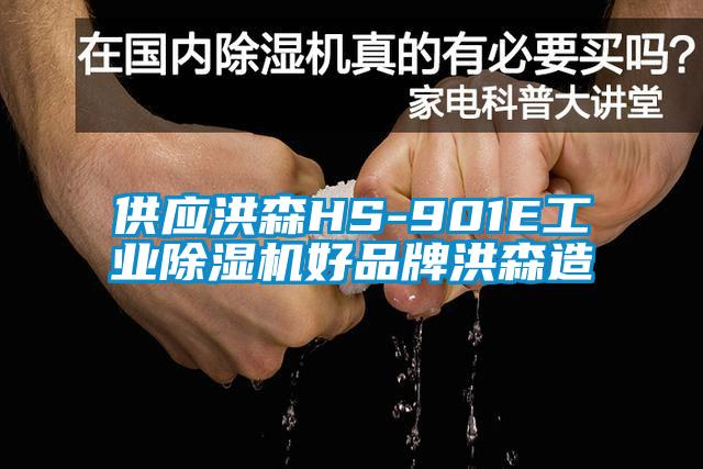 供应洪森HS-901E星空娱乐彩票是什么网站好品牌洪森造
