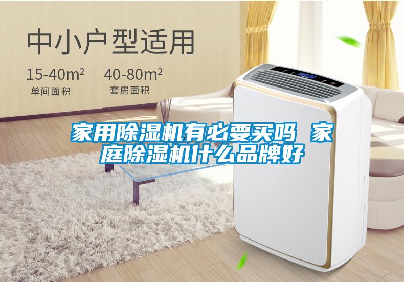 星空体育app官网有必要买吗 家庭除湿机什么品牌好