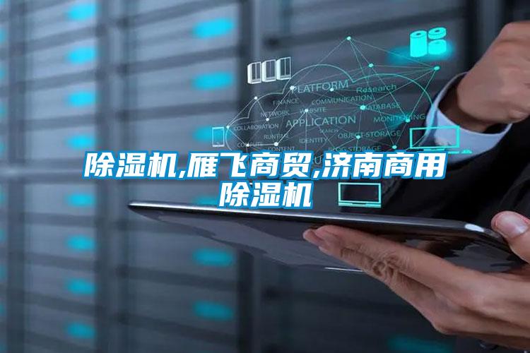除湿机,雁飞商贸,济南星空app官网下载手机版
