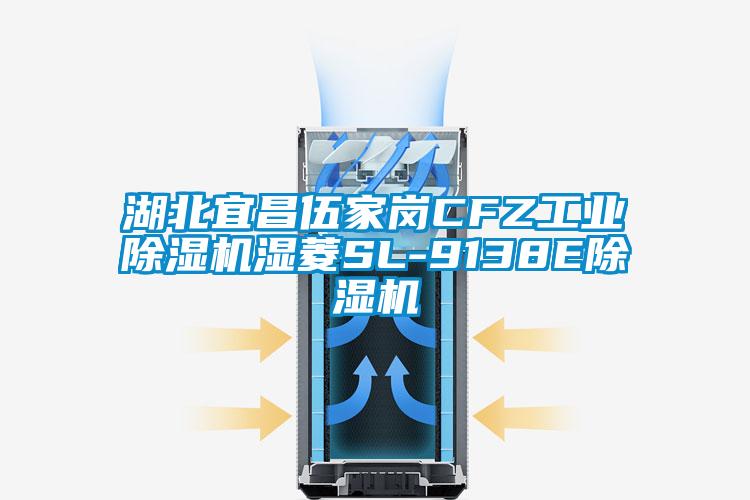 湖北宜昌伍家岗CFZ星空娱乐彩票是什么网站湿菱SL-9138E除湿机