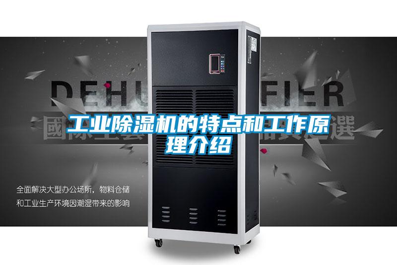 星空娱乐彩票是什么网站的特点和工作原理介绍