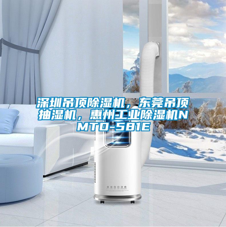 深圳吊顶除湿机，东莞吊顶抽湿机，惠州星空娱乐彩票是什么网站NMTD-581E