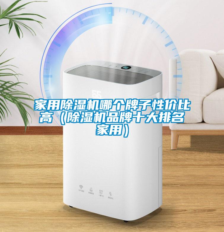 星空体育app官网哪个牌子性价比高（除湿机品牌十大排名家用）