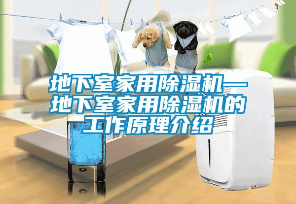 地下室星空体育app官网—地下室星空体育app官网的工作原理介绍