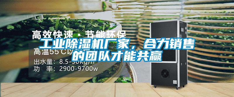 星空娱乐彩票是什么网站厂家，合力销售的团队才能共赢