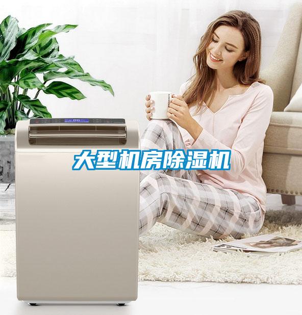 大型机房除湿机