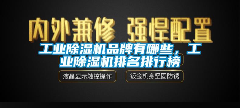 星空娱乐彩票是什么网站品牌有哪些，星空娱乐彩票是什么网站排名排行榜