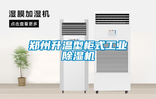 郑州升温型柜式星空娱乐彩票是什么网站