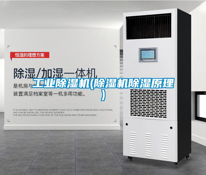 星空娱乐彩票是什么网站(除湿机除湿原理)