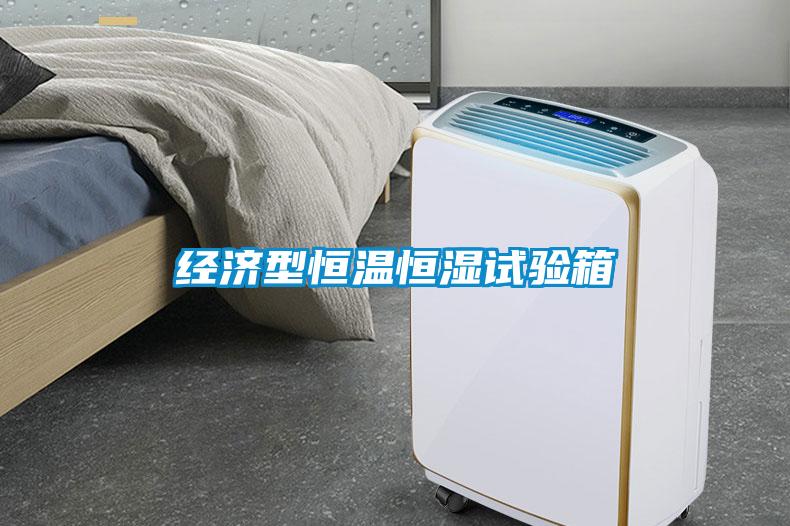 经济型恒温恒湿试验箱
