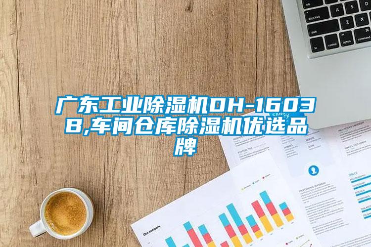 广东星空娱乐彩票是什么网站DH-1603B,车间仓库除湿机优选品牌