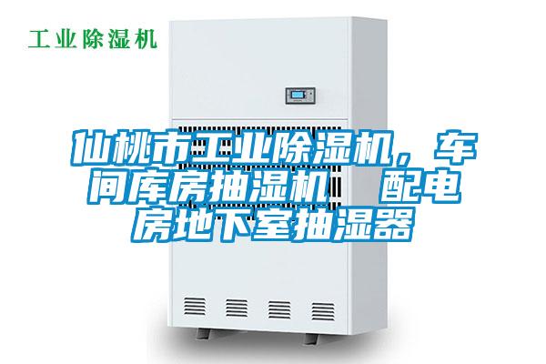 仙桃市星空娱乐彩票是什么网站，车间库房抽湿机  配电房地下室抽湿器