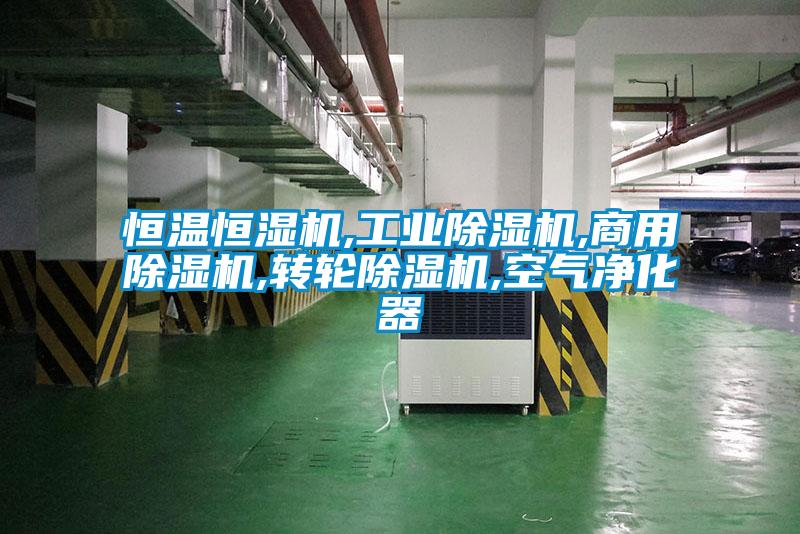 恒温恒湿机,星空娱乐彩票是什么网站,星空app官网下载手机版,转轮除湿机,空气净化器