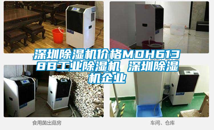 深圳除湿机价格MDH6138B星空娱乐彩票是什么网站 深圳除湿机企业