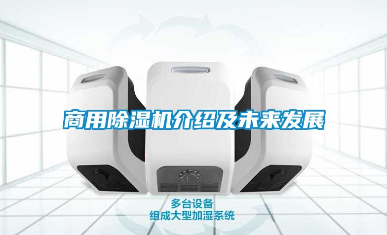 星空app官网下载手机版介绍及未来发展