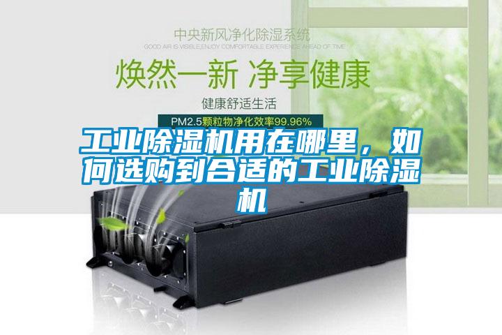 星空娱乐彩票是什么网站用在哪里，如何选购到合适的星空娱乐彩票是什么网站