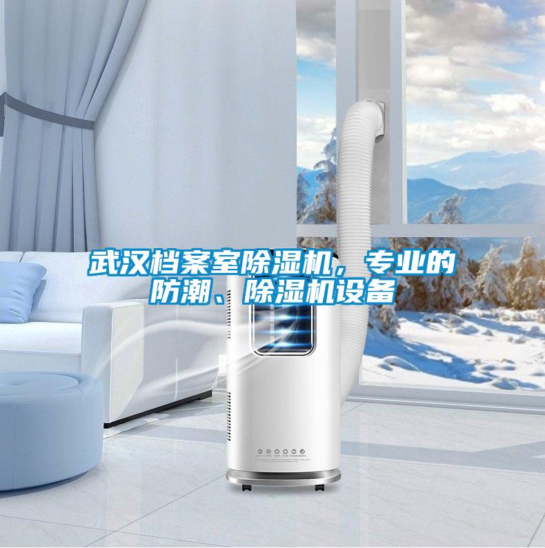 武汉档案室除湿机，专业的防潮、除湿机设备