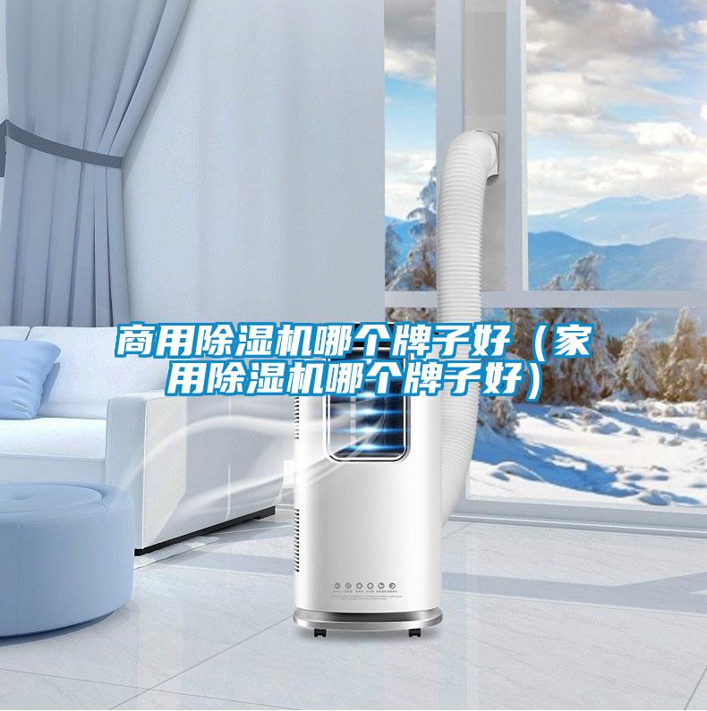 星空app官网下载手机版哪个牌子好（星空体育app官网哪个牌子好）